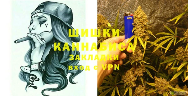 прущие грибы Алзамай