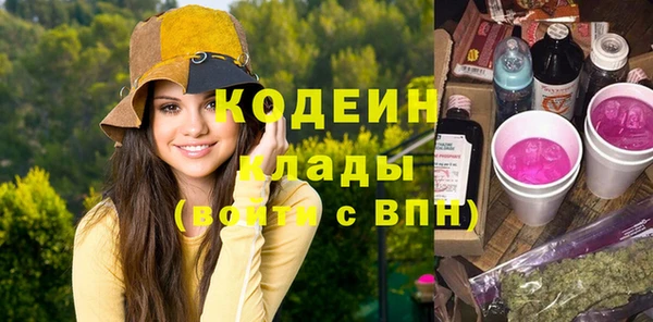 прущие грибы Алзамай