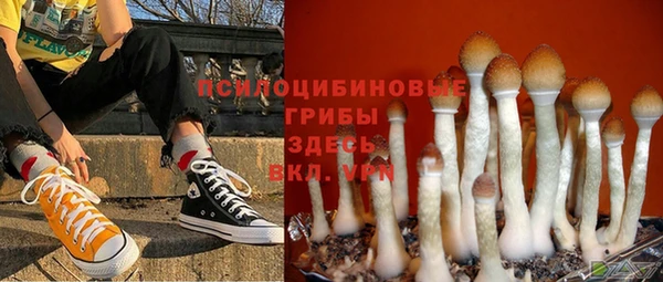 прущие грибы Алзамай