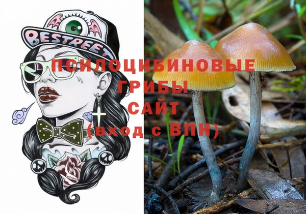 прущие грибы Алзамай