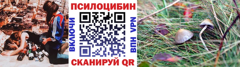Псилоцибиновые грибы Psilocybine cubensis  Набережные Челны 