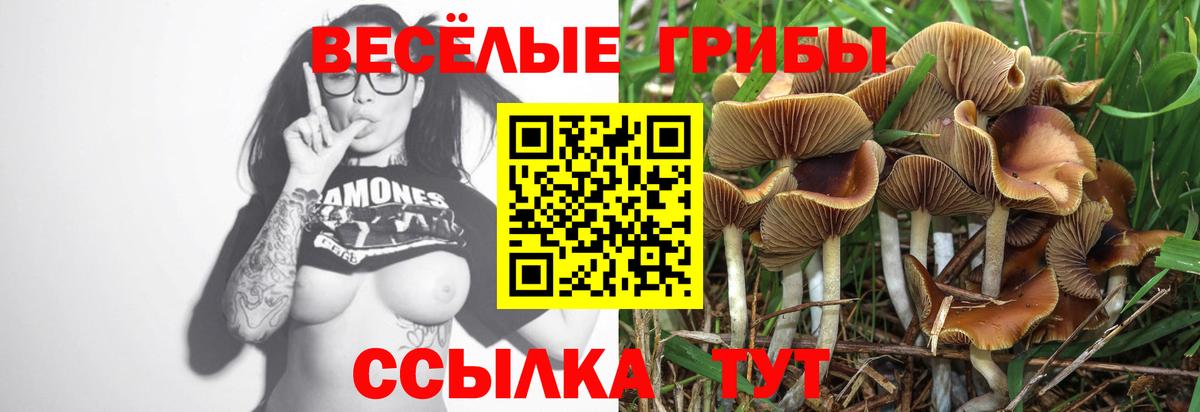 Псилоцибиновые грибы Cubensis  Вход с VPN  как найти   Набережные Челны 